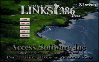 GOLF LINKS 386 Pro [ゴルフ・リンクス386プロ]-1